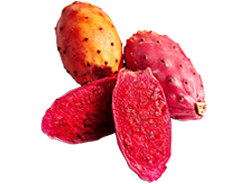 prickly pear